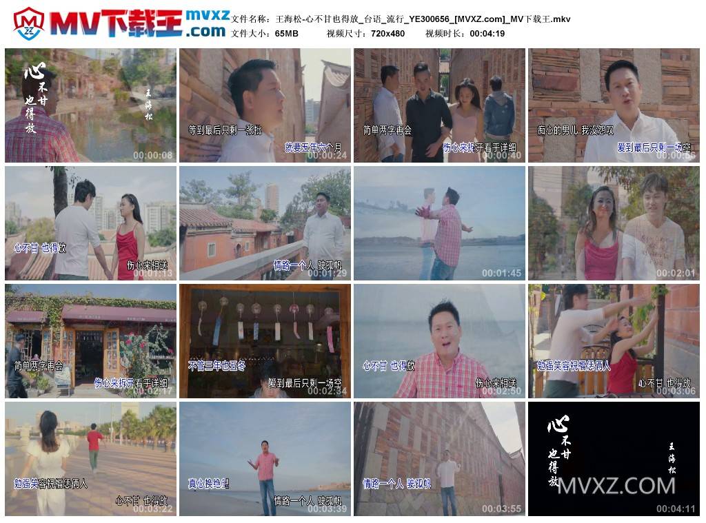 王海松-心不甘也得放_台语_流行_YE300656